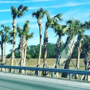 Meet your Posher, J.p.